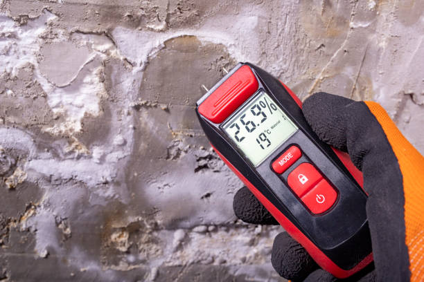 Best Bathroom Mold Remediation in South Beach, FL
